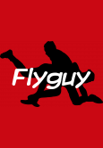 Flyguy