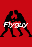 Flyguy