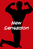 New Sensation
